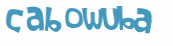 Captcha-Test