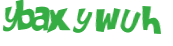 CAPTCHA 挑戰