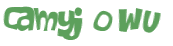 Captchafråga