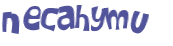 Wyzwanie captcha
