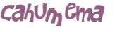 Desafio Captcha