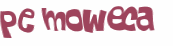 Captcha 챌린지