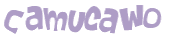 Wyzwanie captcha