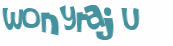 Captchafråga