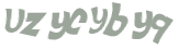 CAPTCHA 挑戰