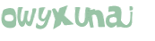 CAPTCHA 挑戰