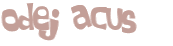 Wyzwanie captcha