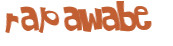 CAPTCHA 挑戰