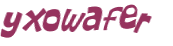 CAPTCHA 挑戰