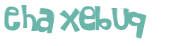 Wyzwanie captcha