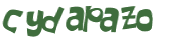 Captcha 챌린지