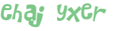CAPTCHA 挑戰