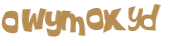 CAPTCHA 挑戰