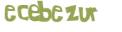Captcha 챌린지