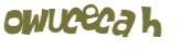 Wyzwanie captcha