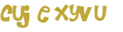 CAPTCHA 挑戰
