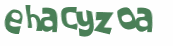 Captcha 챌린지