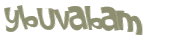 Captcha-Test