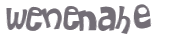 CAPTCHA 挑戰
