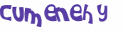 CAPTCHA 挑戰
