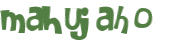 CAPTCHA 挑戰