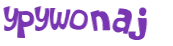Captcha 챌린지
