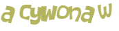 CAPTCHA 挑戰