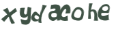 CAPTCHA 挑戰