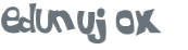 CAPTCHA 挑戰