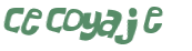 Sfida captcha