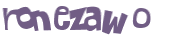 CAPTCHA 挑戰