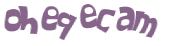 CAPTCHA 挑戰