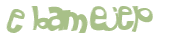 CAPTCHA 挑戰