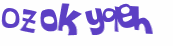 Captcha 챌린지