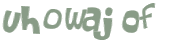 CAPTCHA 挑戰