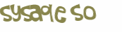 Captcha 챌린지