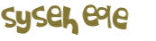 CAPTCHA 挑戰