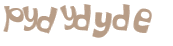 CAPTCHA 挑戰