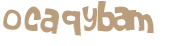 CAPTCHA 挑戰