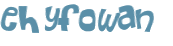 CAPTCHA 挑戰