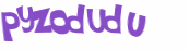CAPTCHA 挑戰