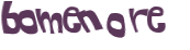 CAPTCHA 挑戰