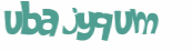 キャプチャ認証