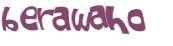 Captcha-Test