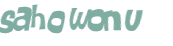 Sfida captcha