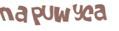 CAPTCHA 挑戰