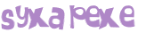 Wyzwanie captcha