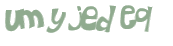 CAPTCHA 挑戰