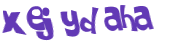 CAPTCHA 挑戰