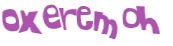 CAPTCHA 挑戰